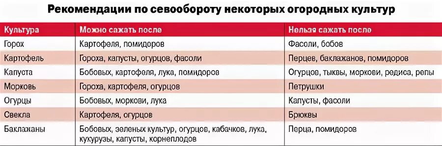 После моркови что можно сажать на следующий. После каких культур сажать помидоры. После чего сажать морковь на следующий год. Какие культуры сажать после каких. Что можно садить после морковки.