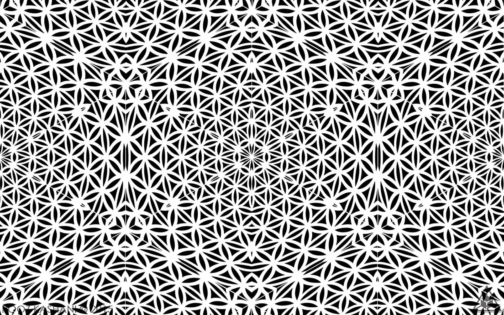 Svg opacity