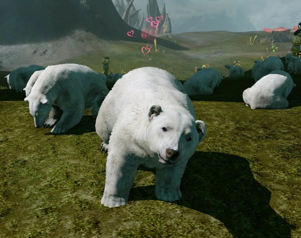 Боевой белый медведь. Ездовой белый медведь. Боевой белый медведь ARCHEAGE. ARCHEAGE ездовой медведь. Где найти медведя в игре медведь
