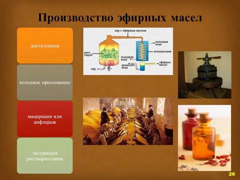 Методов масло. Производство эфирных масел. Методы производства эфирных масел. Экстрагирование эфирных масел. Производство эфирных масел дистилляция.