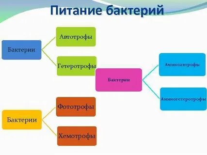 Типы питания дыхания