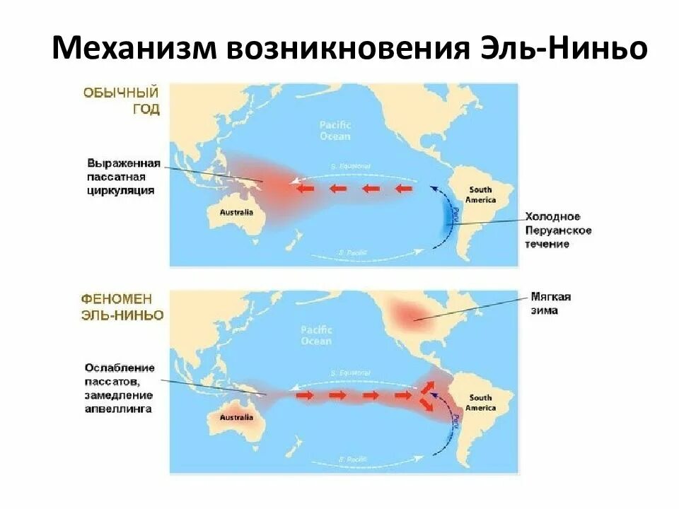 Холодные течения южной америки