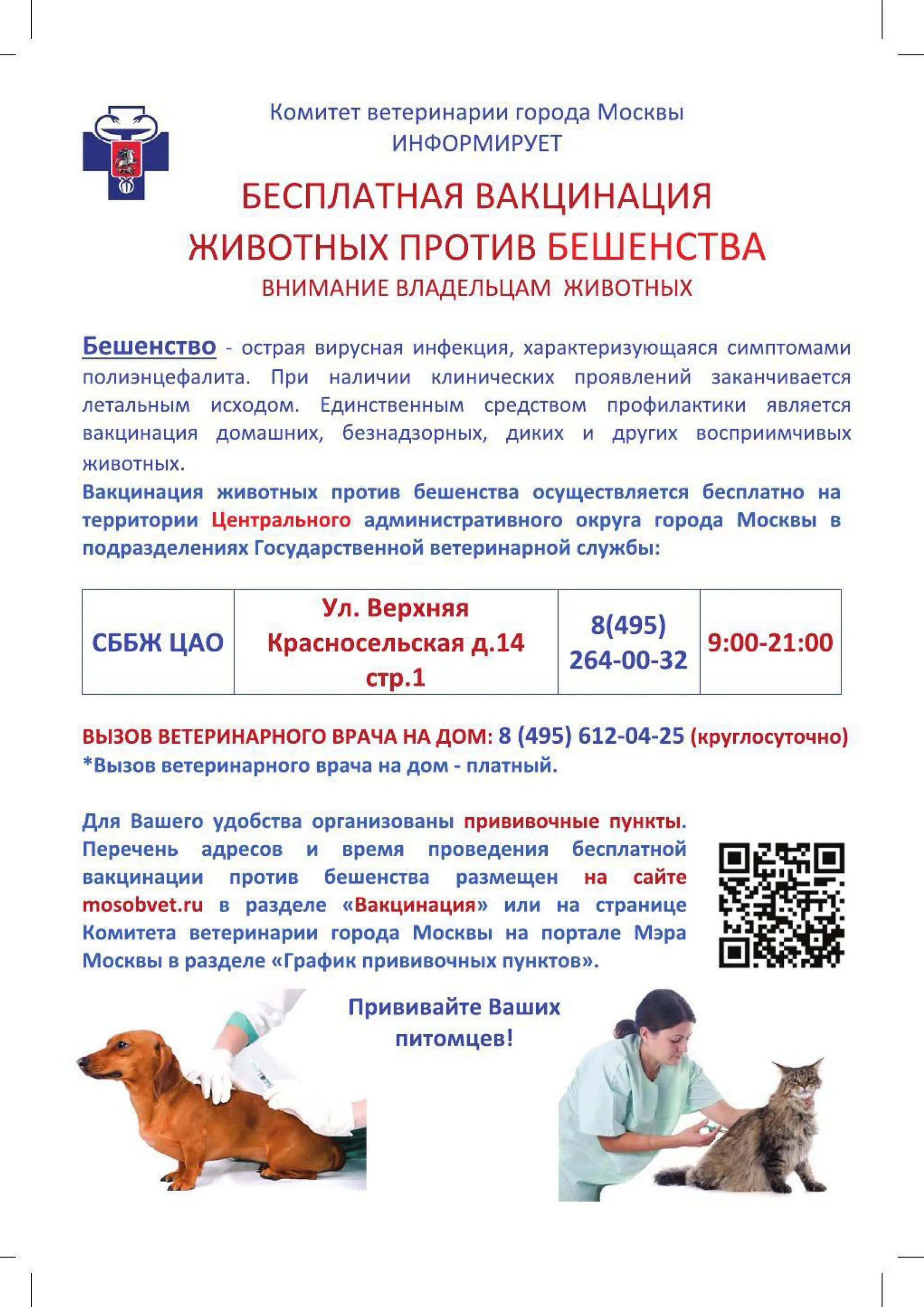 Плакаты по ветеринарии. Комитет ветеринарии города Москвы. Информационные плакаты Ветеринария. Вызов ветеринара на дом. Бесплатная прививка от бешенства кошке в москве