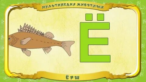 Какие животные на букву е