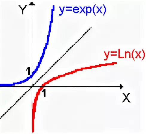 Exp
