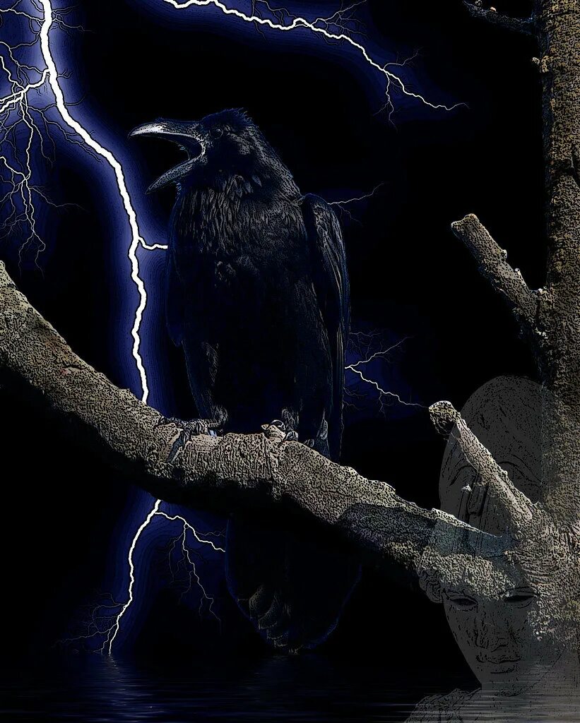 Raven Nevermore. Черный ворон. Ворон ночью. Черный ворон ночь. Night crows вороны