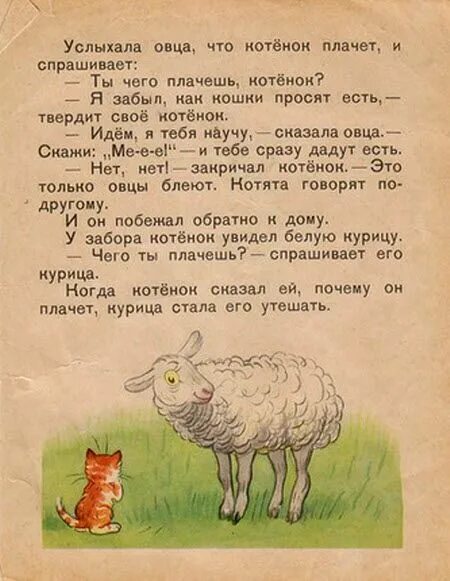 Котенок, который забыл, как надо просить есть. Короткие сказка Овечка. Сказка про котенка. Рассказ про котёнка который забыл как надо просить есть. Как говорит баран