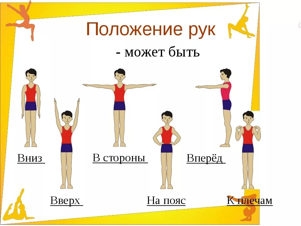 Как называется гимнастические упражнения. Основные положения рук. Исходное положение в физкультуре. Положение рук в физкультуре. Основная стойка в физкультуре.