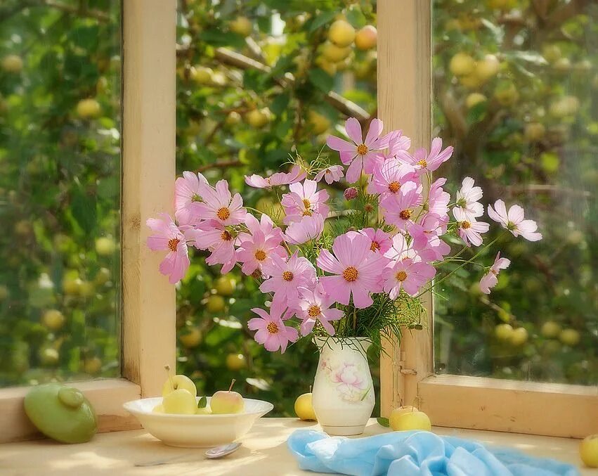 Утро летнего дня. Цветы на окне. Весенние цветы на окне. Летние цветы на окне. Цветочное настроение.