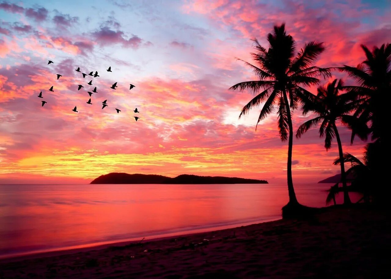 Пляж закат. Закат на острове. Море пальмы закат. Пальмы на закате.