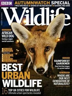 Bbc wildlife