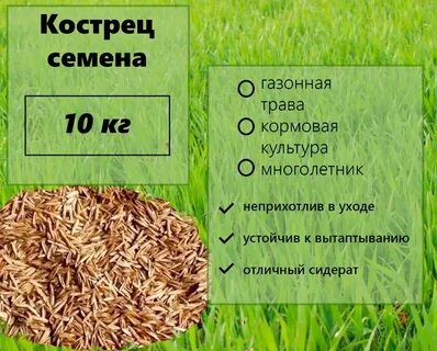 Кострец что это