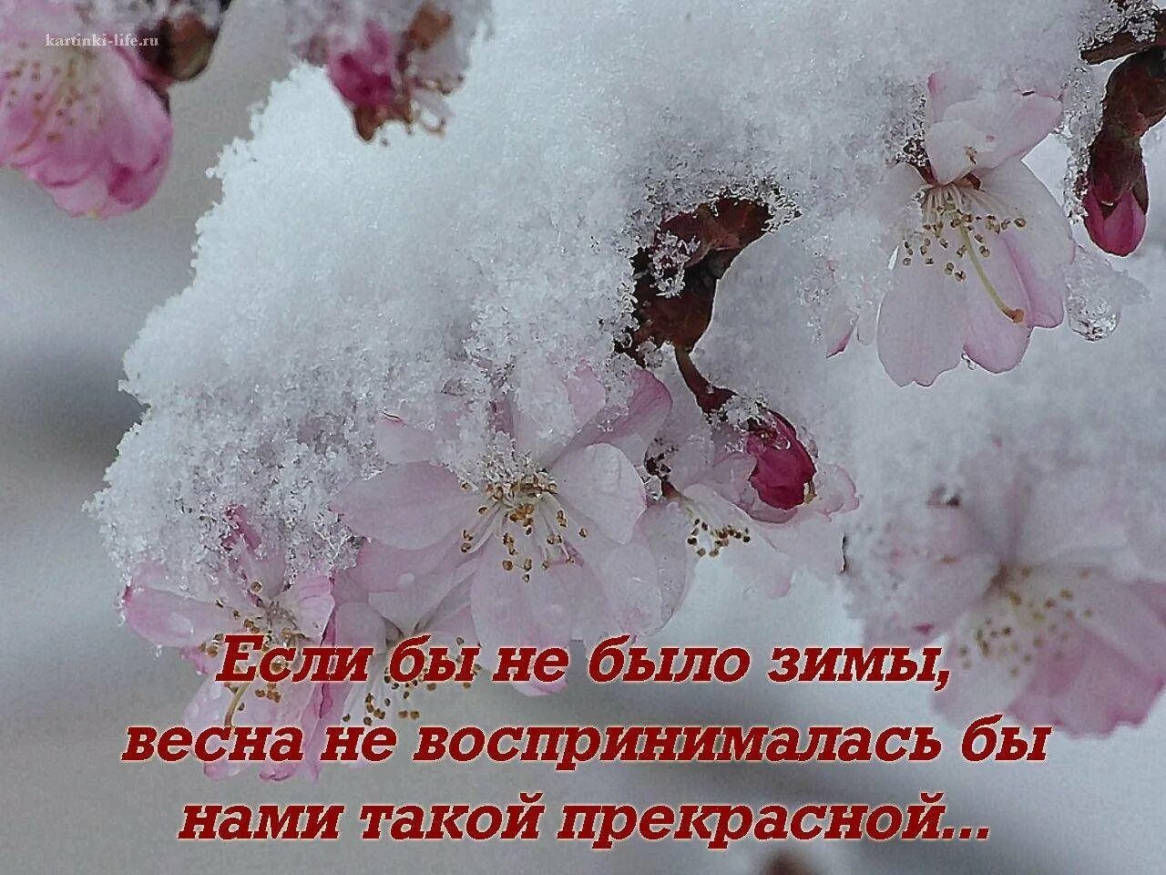 Утро снег стих. Статусы про зиму красивые.