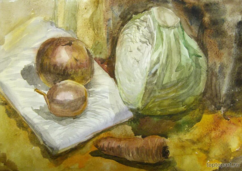 Капуста акварелью. Ван гог капуста и чеснок. Винсент ван гог «белые розы». Ботаническая живопись капуста. «натюрморт с открытой библией», 1885.