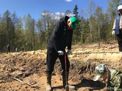 Беспилотник в тосненском районе