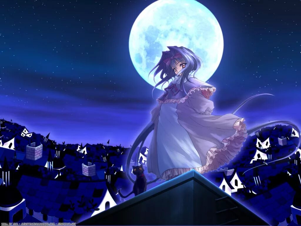 Lunar animation. Lunar animation