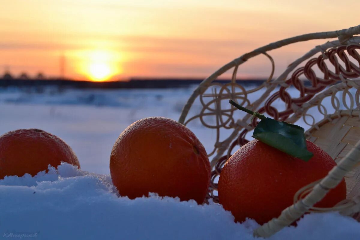 апельсин на ветке. на небесах апельсины. на небесах апельсины. ночью на небе один золотистый апельсин. апельсин на ветке.