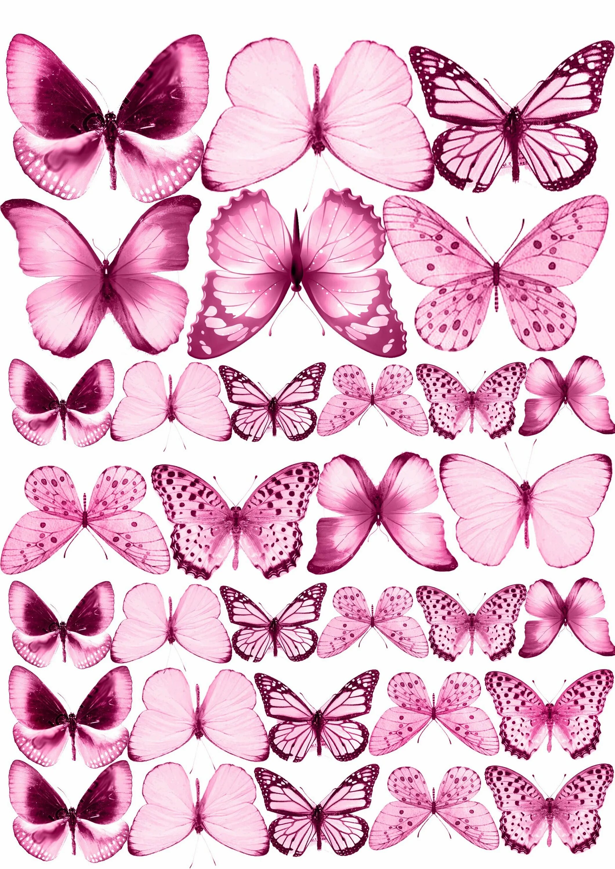 Розовые бабочки. Торт «бабочки». Розовые бабочки на вафельной бумаге. Бабочки нежно розовые. Бабочки для торта картинки для печати