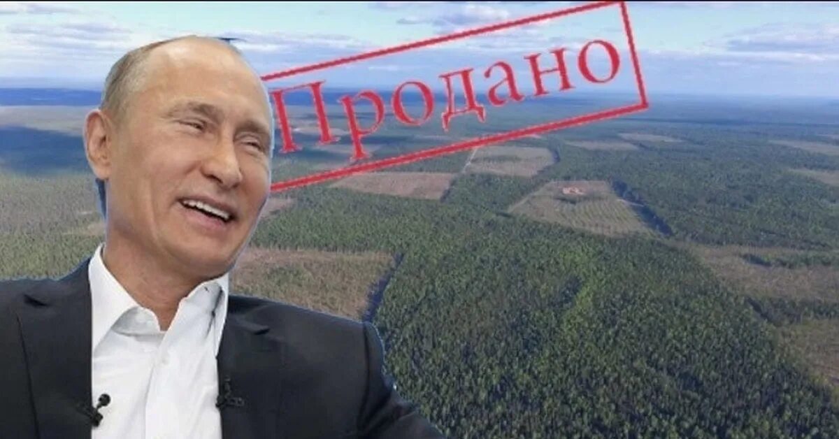 Сибирь продали китаю. Сибирь продали китаю. Территории в аренде у китая. Китайцы в сибири. Демотиваторы китайцы в сибири.