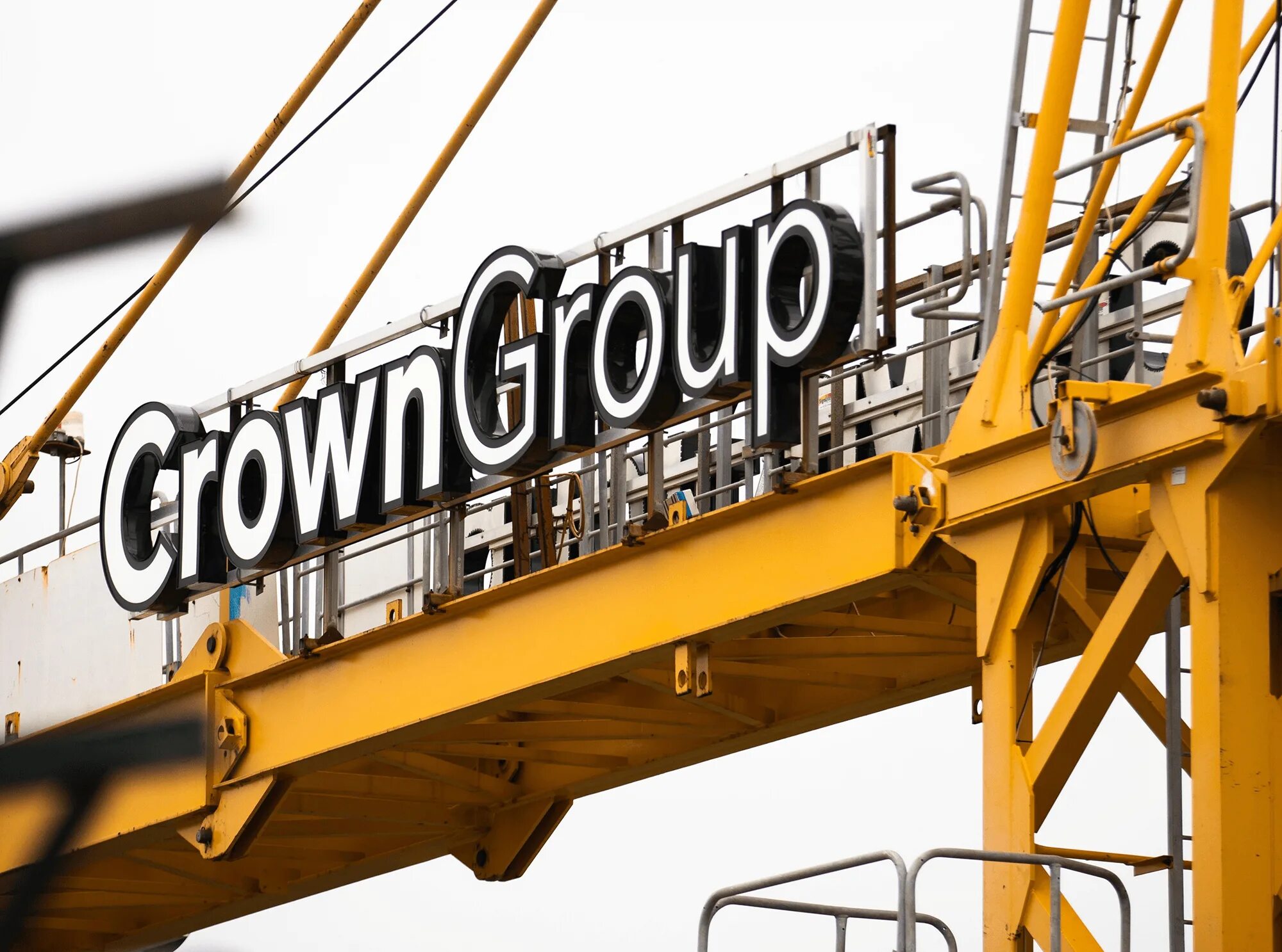 Crown group. The bird crown group. Crown group. Crown group. Crown group.