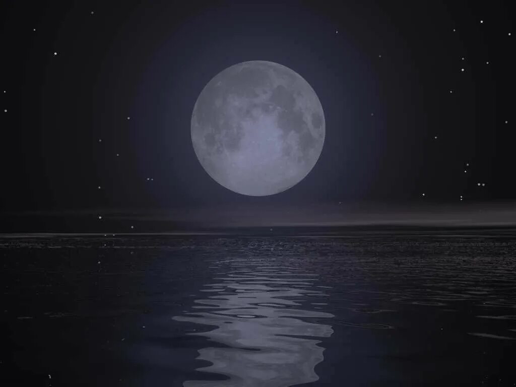 Света стала луна луна. Лунная ночь. Ночная Луна.