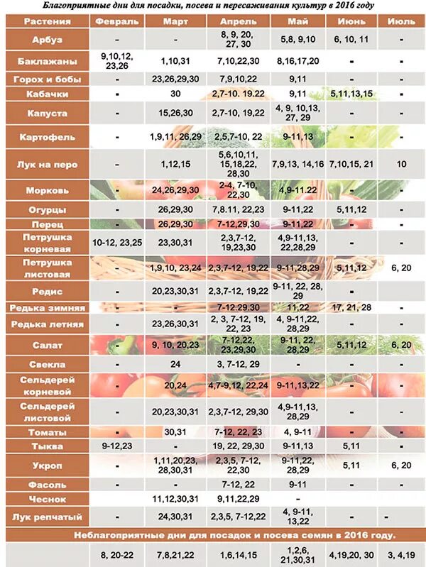 Благоприятныеидни для поспдки. Благоприятные дни для посадки. Календарь высадки рассады. Благоприятные дни для поса.