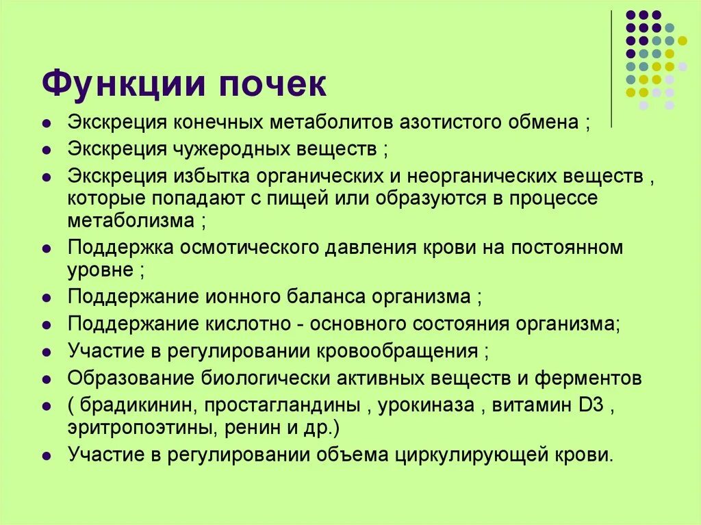 Каковы функции почек. Укажите основные функции почек:. Почки в организме человека выполняют функции:. Общая функция почек?. Перечислите функции почек в организме человека.