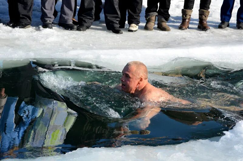 моржи владивостока