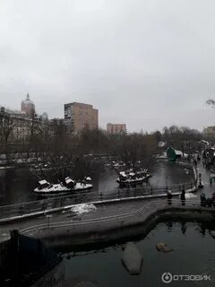Работает ли московский зоопарк зимой