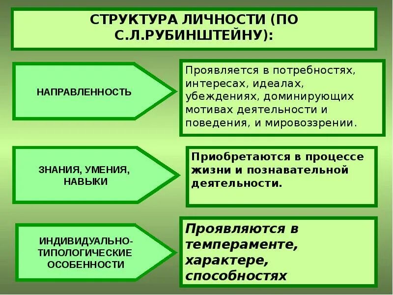 Структуру направленности входят
