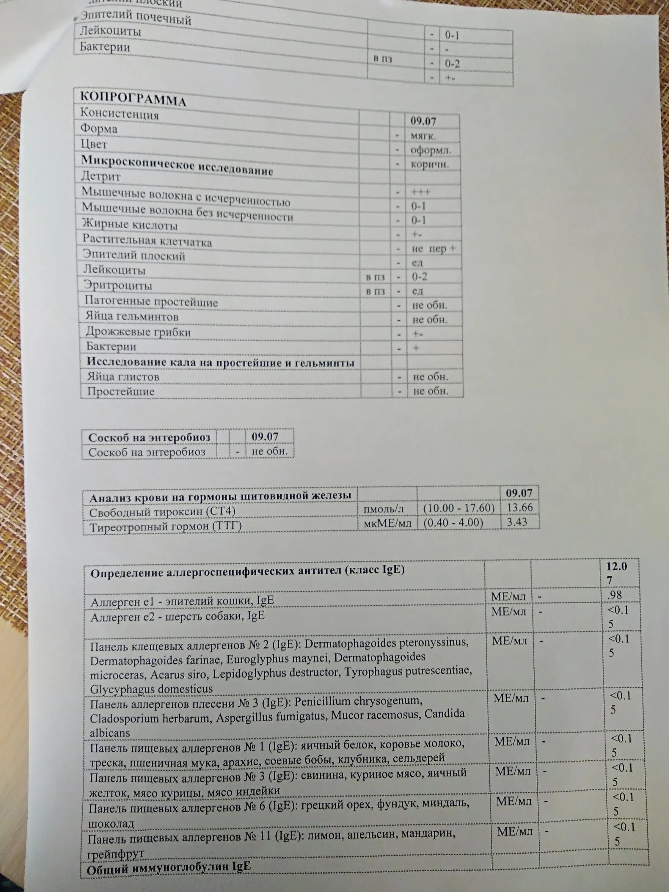 Igg4 к пищевым аллергенам пищевая непереносимость 88 аллергенов/микстов. Анализ педиатрическая панель. Панель аллергенов. Анализ на аллергены пищевая панель 20. Анализы пищевая панель.