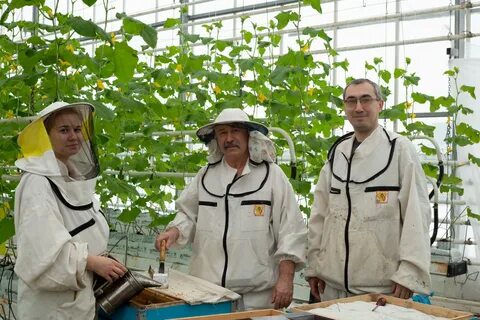 Агрофирма вакансии