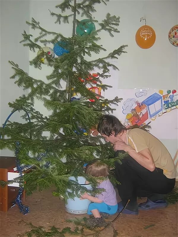 Несут елку домой. Мужик несет елку. Человек несет елку. Дети наряжают елку. Принес елку.