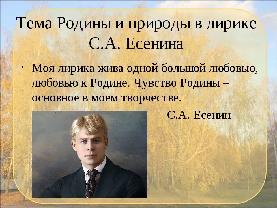 Тема природы в стихах есенина. Тема родины и природы в лирике есенина. тема родины у есенина. темы творчества есенина. родина в творчестве есенина.
