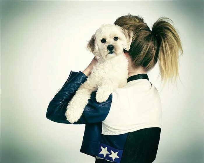 Красивая блондинка в очках. Девушка с собакой. Девушка с собакой со спины. Модная девушка с собачкой. Красивая девушка с собачкой.