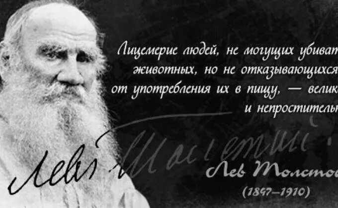 Лев толстой о животных. Лев николаевич толстой вегетарианство. лев толстой о вегетарианстве. лев николаевич толстой вегетарианец. лев николаевич толстой о мясе.
