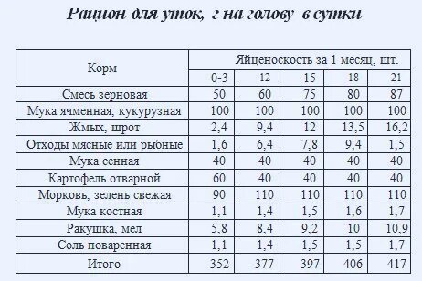 Сколько мяса в индоутке
