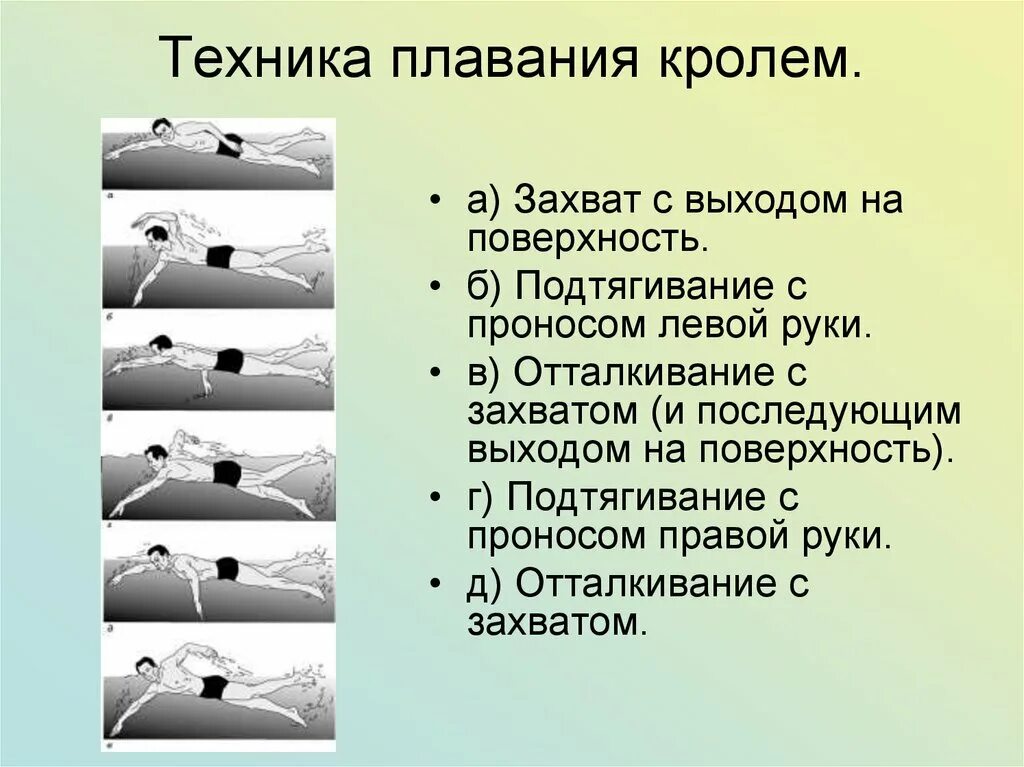 Методика плавания кролем. Стиль плавания Кроль техника. Техника плавания кролем. Стиль Кроль в плавании техника выполнения. Методика тренировки техники плавания.