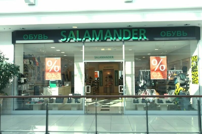 Salamander логотип. Саламандра бренд. Саламандер магазин. Саламандра самара. Огненная саламандра игрушка.