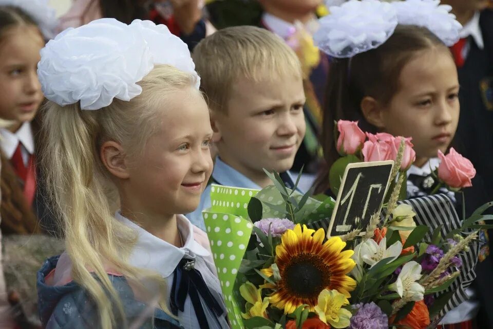 Запись ребенка в школу 1 класс