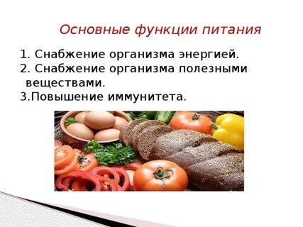 Какие функции выполняет питание в жизни человека