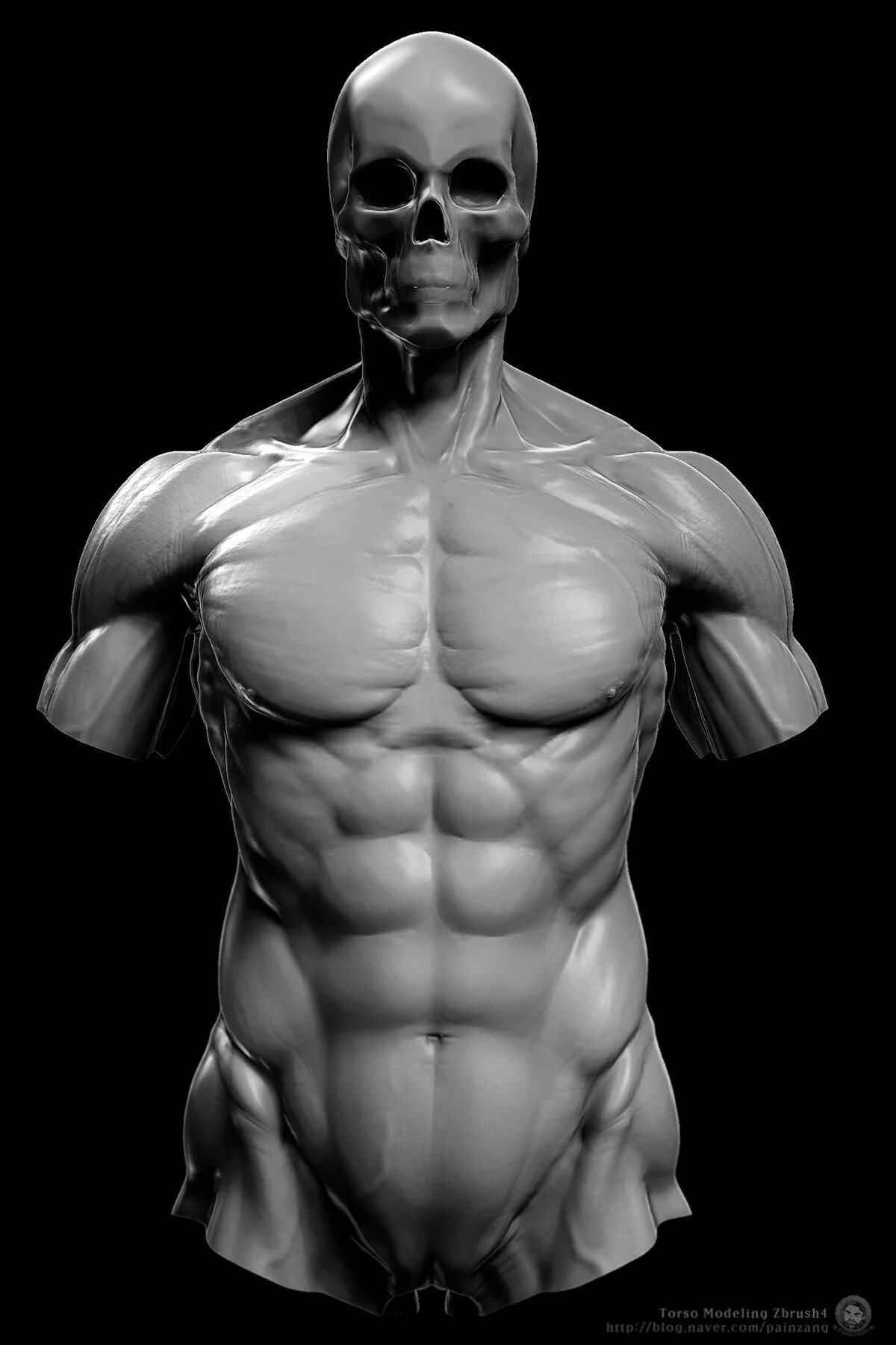 Гигачад Геншин. Зибраш торс. Анатомия человека мышцы 3д. Анатомия скульптинг збраш.