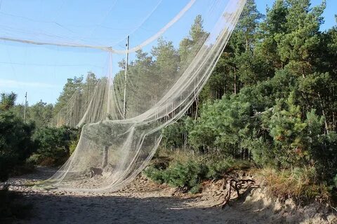 Экскурсия на орнитологическую станцию