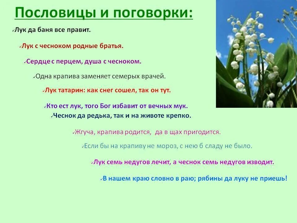 Пословицы о растениях 3 класс окружающий мир