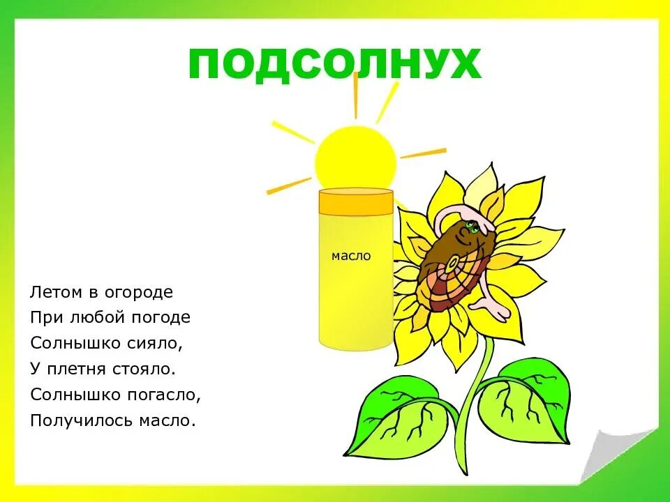 Подсолнух загадка. Загадка про подсолнух. загадка про подсолнух для детей. стих про подсолнух. детские стихи про подсолнух.