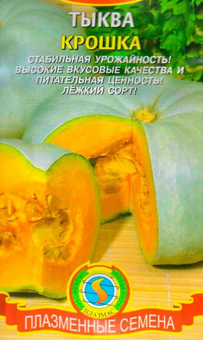 Тыква медовая крошка описание сорта. Тыква крупноплодная крошка. тыква сорт грибовская. тыква грибовская кустовая. тыква грибовская зимняя.