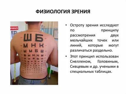 Физиология зрения