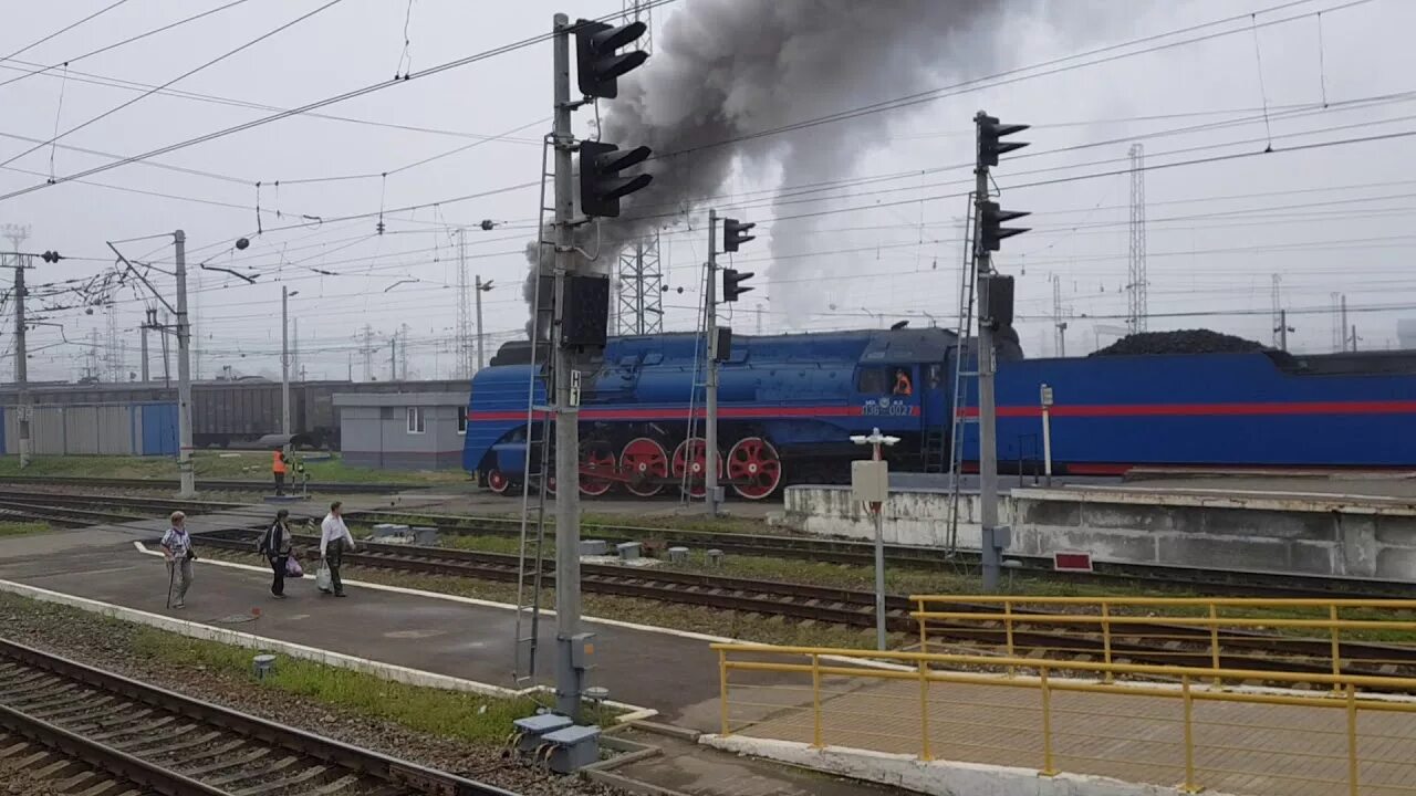 Лось железнодорожный. Станция Ярославль-главный реконструкция. Электрички Ярославль главный. Ярославль главный платформы. Поезд Сулин-Ярославль главный.