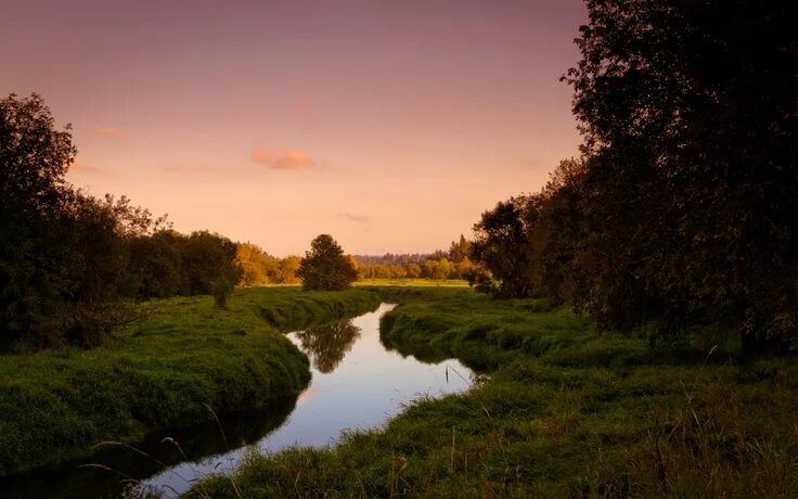 Download wallpaper grass, trees, river, meadow, section landscapes in resolution