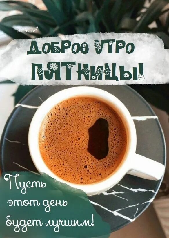 Здравствуй пятница доброе утро. Доброе утро пятницы. с добрым утром вторника. стильные поздравления с добрым утром. доброе утро четверга.
